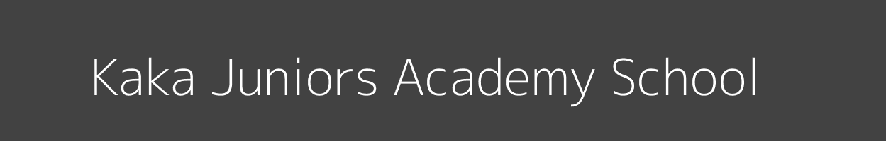 Kaka Juniors Academy School Kinale Lari Image