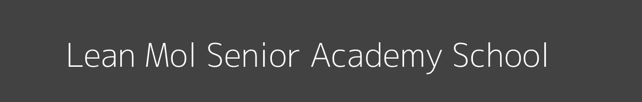 Lean Mol Senior Academy School Roysambu Kasarani Image