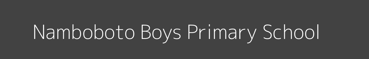 Namboboto Boys Primary School Namboboto Funyula Image