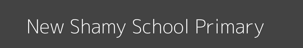 New Shamy School Primary Tononoka Island Image