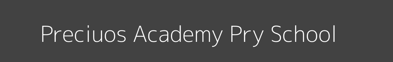 Preciuos Academy Pry School Butsotso North Lurambi Image