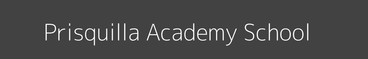 Prisquilla Academy School Riana Suneka Image