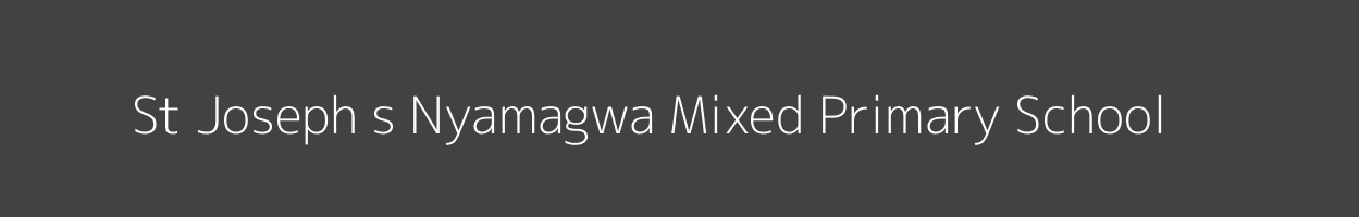 St Joseph s Nyamagwa Mixed Primary School Bassi Bointangare Sameta Image