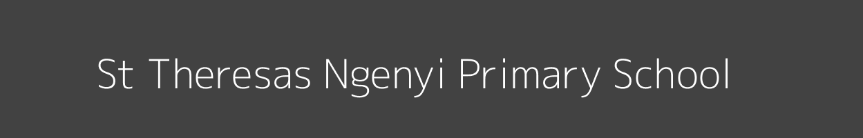 St Theresas Ngenyi Primary School Ngenyi Marani Image