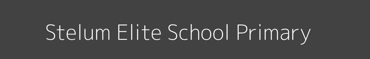 Stelum Elite School Primary Ruaraka Kasarani Image