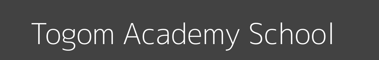 Togom Academy School Bureti Roret Image