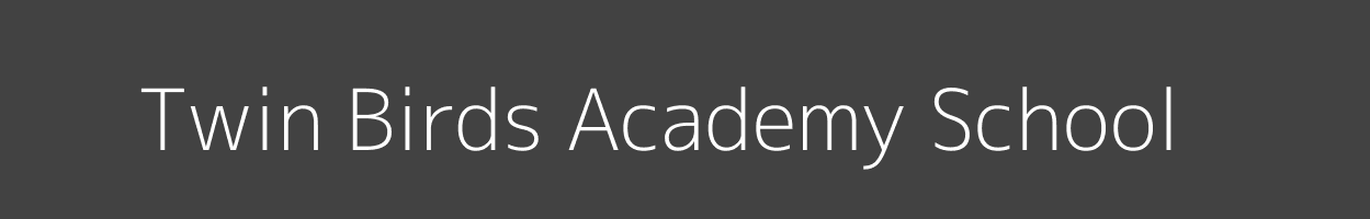 Twin Birds Academy School Ruai Embakasi Image