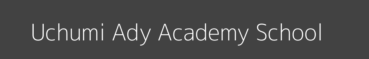 Uchumi Ady Academy School Dandora Embakasi Image