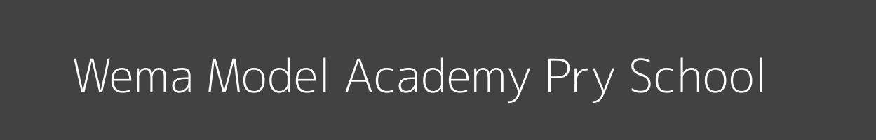 Wema Model Academy Pry School Bugumbe South Mabera Image