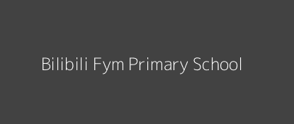Bilibili Fym Primary School Naitiri Western Province Image
