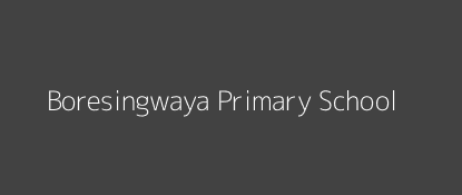 Boresingwaya Primary School Garashi Coast Province Image