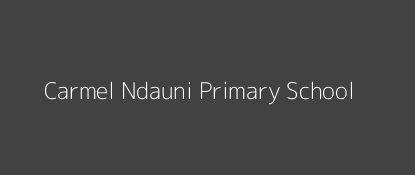 Carmel Ndauni Primary School Kola Eastern Province Image