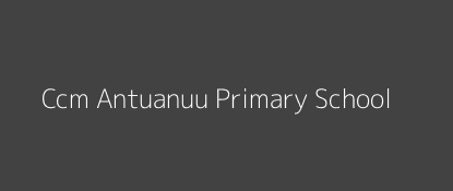 Ccm Antuanuu Primary School Muthara Eastern Province Image