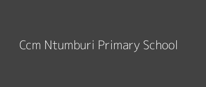 Ccm Ntumburi Primary School Ntumbiri Eastern Province Image