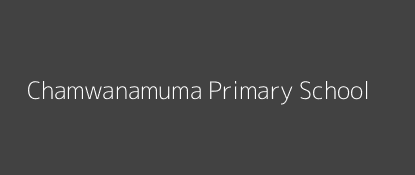 Chamwanamuma Primary School Kone Mansa Coast Province Image