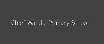 Chief Wandie Primary School Riabai Central Province Image