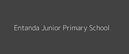 Entanda Junior Primary School Boochi Borabu Nyanza Province Image
