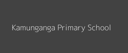 Kamunganga Primary School Kigumo Central Province Image