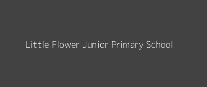 Little Flower Junior Primary School Central Marama Western Province Image