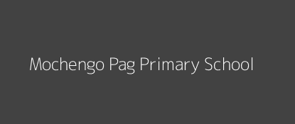 Mochengo Pag Primary School Bassi Borabu Nyanza Province Image