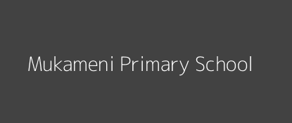 Mukameni Primary School Kangonde Eastern Province Image