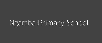 Ngamba Primary School Muthetheni Eastern Province Image