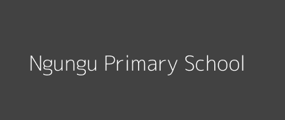 Ngungu Primary School Kabare Central Province Image