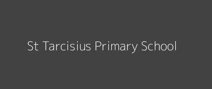 St Tarcisius Primary School Ngandori Eastern Province Image