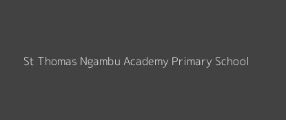 St Thomas Ngambu Academy Primary School Kagunduini Central Province Image