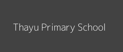 Thayu Primary School Huruma Nairobi Province Image