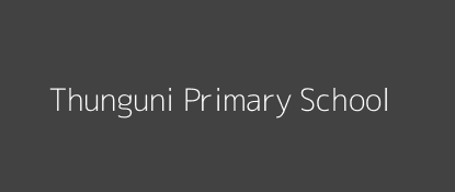 Thunguni Primary School Mtito Andei Eastern Province Image