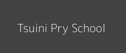 Tsuini Pry School Vanga Coast Province Image