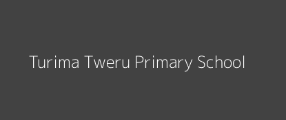 Turima Tweru Primary School Mwanyani Eastern Province Image