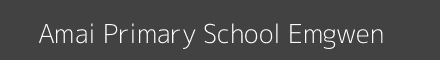 Amai Primary School Emgwen Image