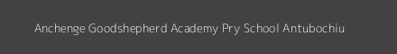 Anchenge Goodshepherd Academy Pry School Antubochiu Image
