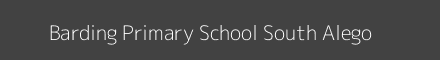 Barding Primary School South Alego Image