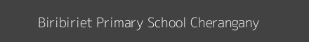 Biribiriet Primary School Cherangany Image