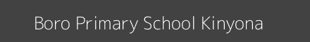 Boro Primary School Kinyona Image