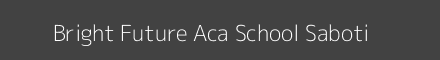 Bright Future Aca School Saboti Image