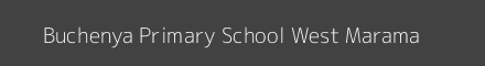 Buchenya Primary School West Marama Image