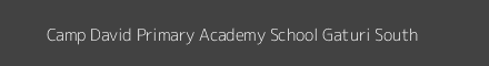 Camp David Primary Academy School Gaturi South Image