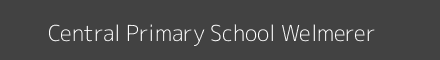 Central Primary School Welmerer Image