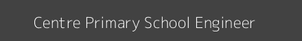 Centre Primary School Engineer Image