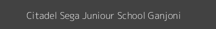 Citadel Sega Juniour School Ganjoni Image