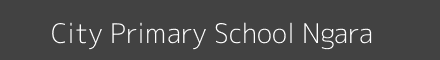 City Primary School Ngara Image