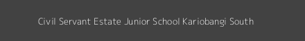 Civil Servant Estate Junior School Kariobangi South Image