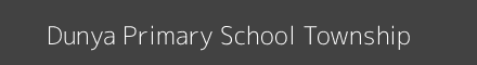 Dunya Primary School Township Image