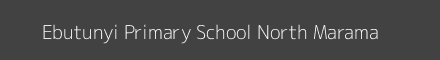 Ebutunyi Primary School North Marama Image