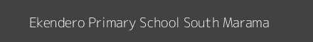 Ekendero Primary School South Marama Image