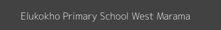 Elukokho Primary School West Marama Image